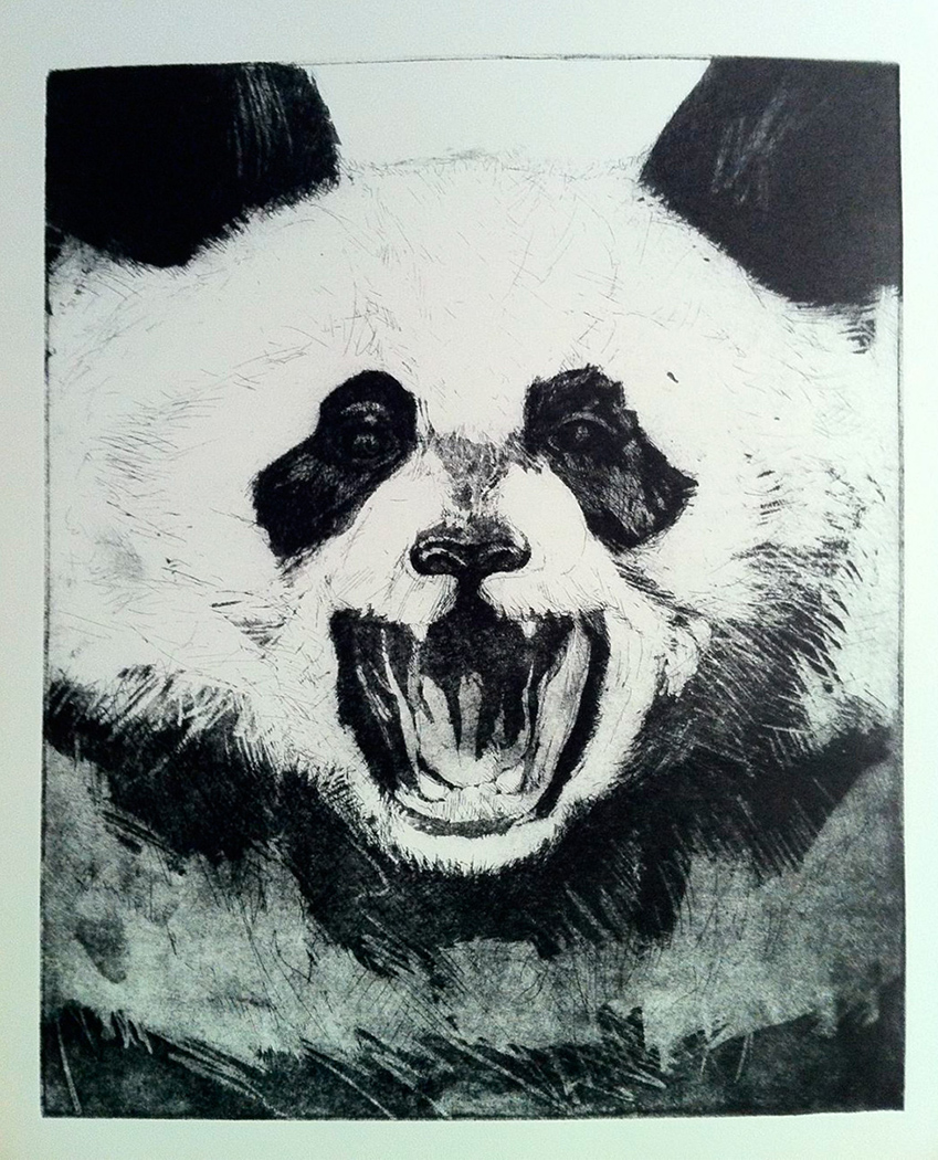 panda calcography drawing Miguel Mazarío